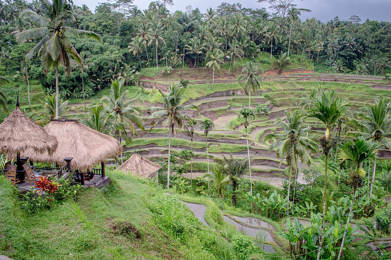 Bali Travel Guide — Indonesia